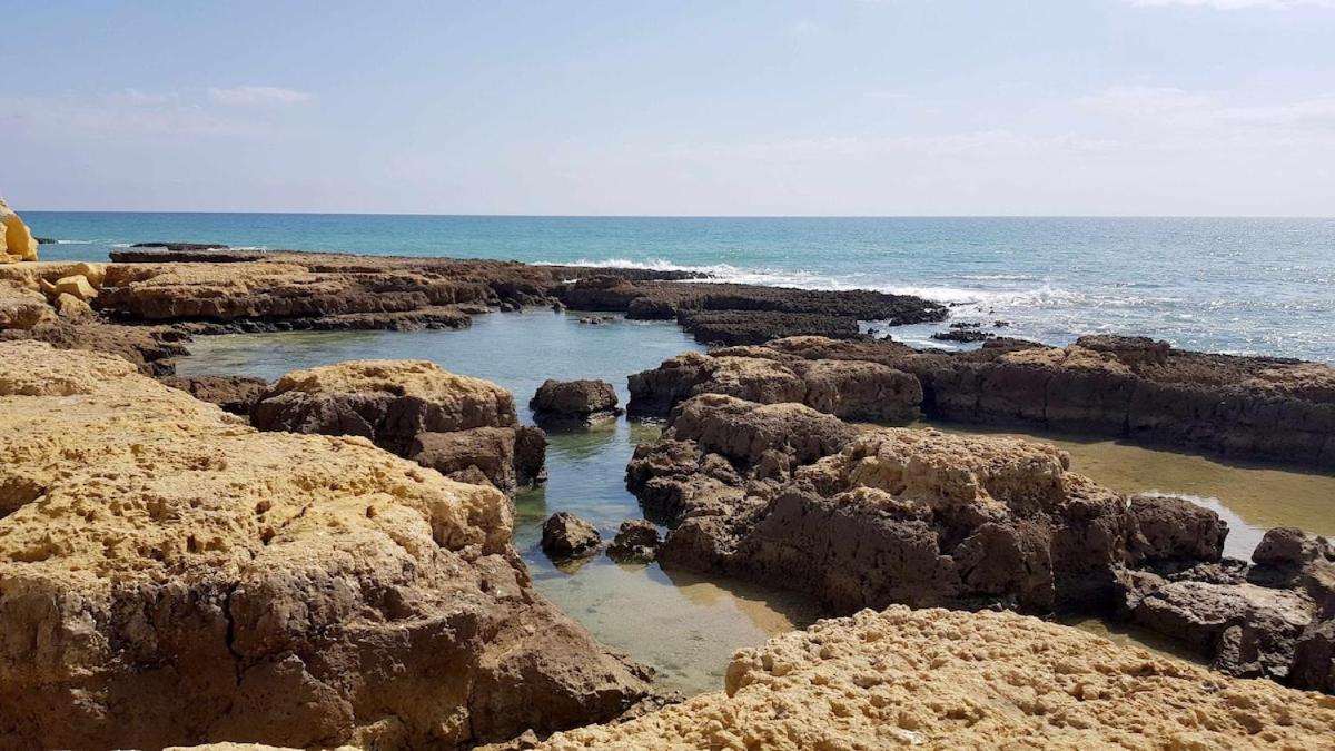דירות Albufeira Sea View מראה חיצוני תמונה