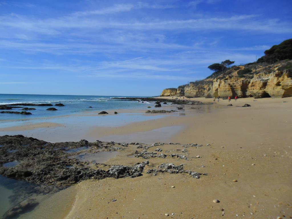 דירות Albufeira Sea View מראה חיצוני תמונה